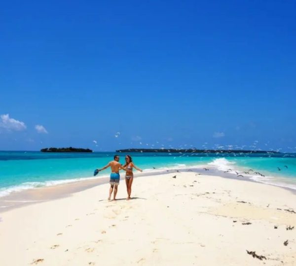 Nakupenda Sandbank tour with snorkeling & seafood lunch
