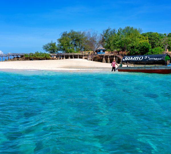 Prison island Tour, The Island of Giant Tortoise.