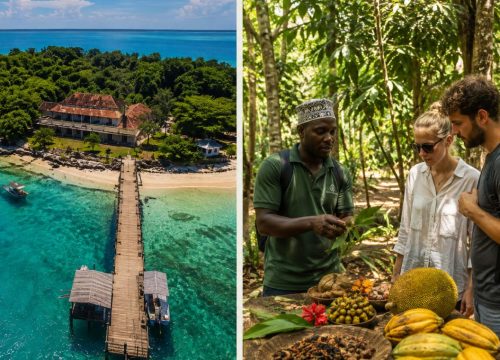 Full Day Private Trip to Prison Island and Spice Farm: Tortoises to Spices