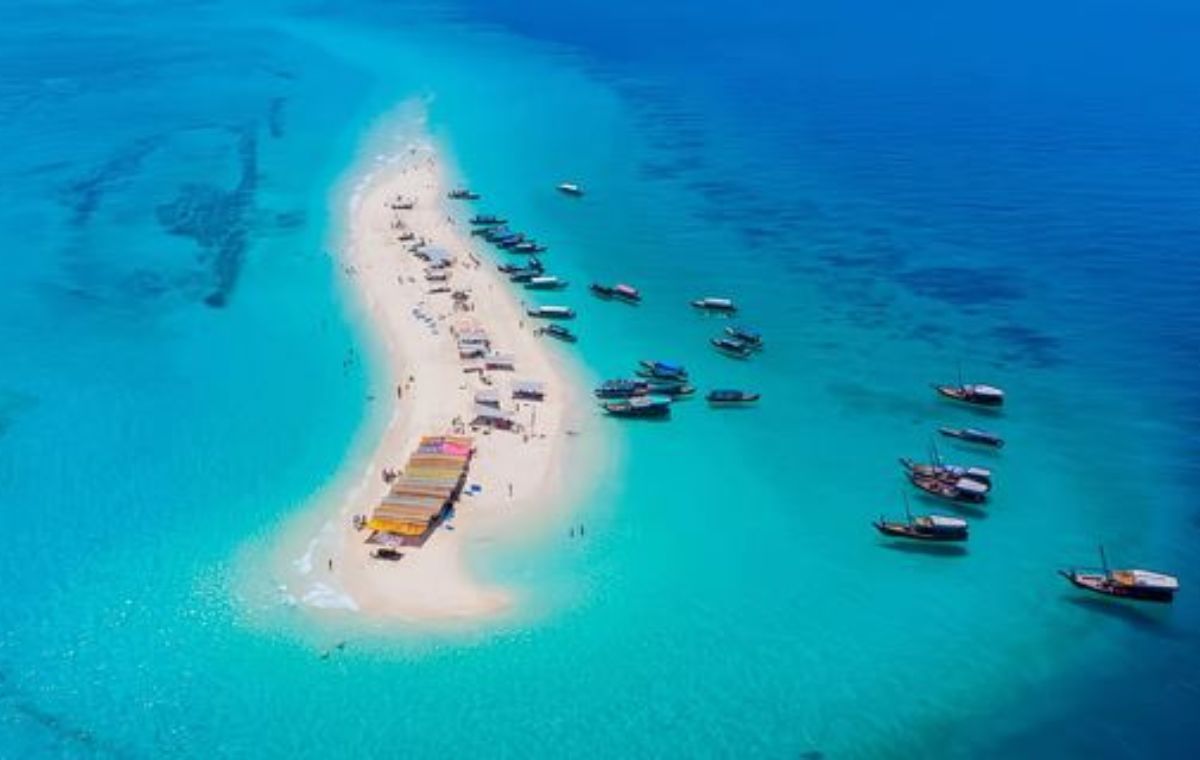 Giant Tortoises & Turquoise Sands: Your Nakupenda and Prison Island Tour