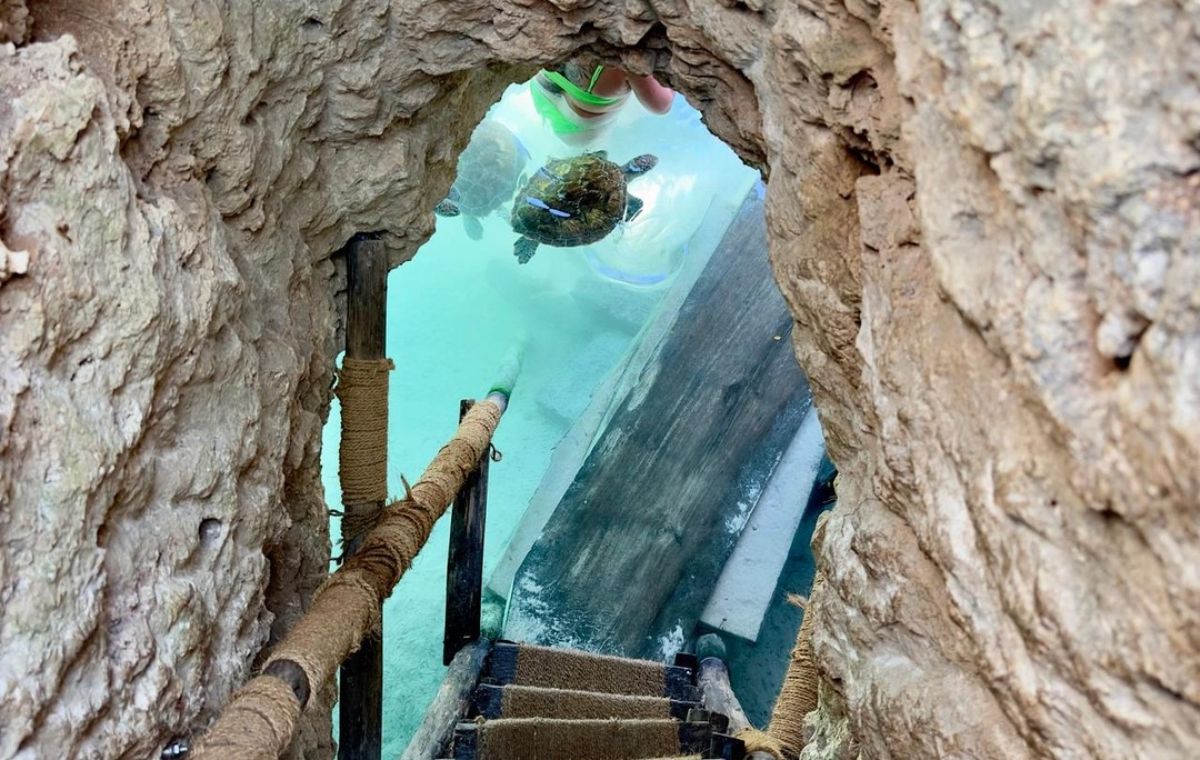 Jozani Forest and Salaam Cave Tour in Zanzibar