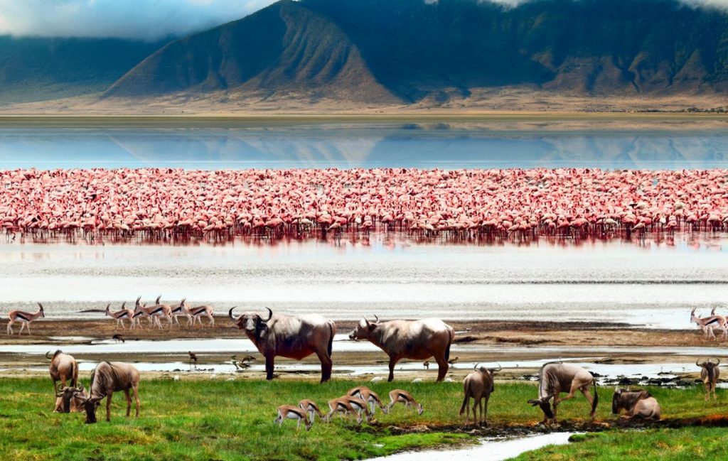 Serengeti & Ngorongoro Combo Package
