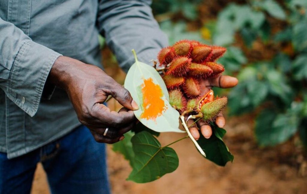 Spice Farm Zanzibar - Spice Farm Tour Package