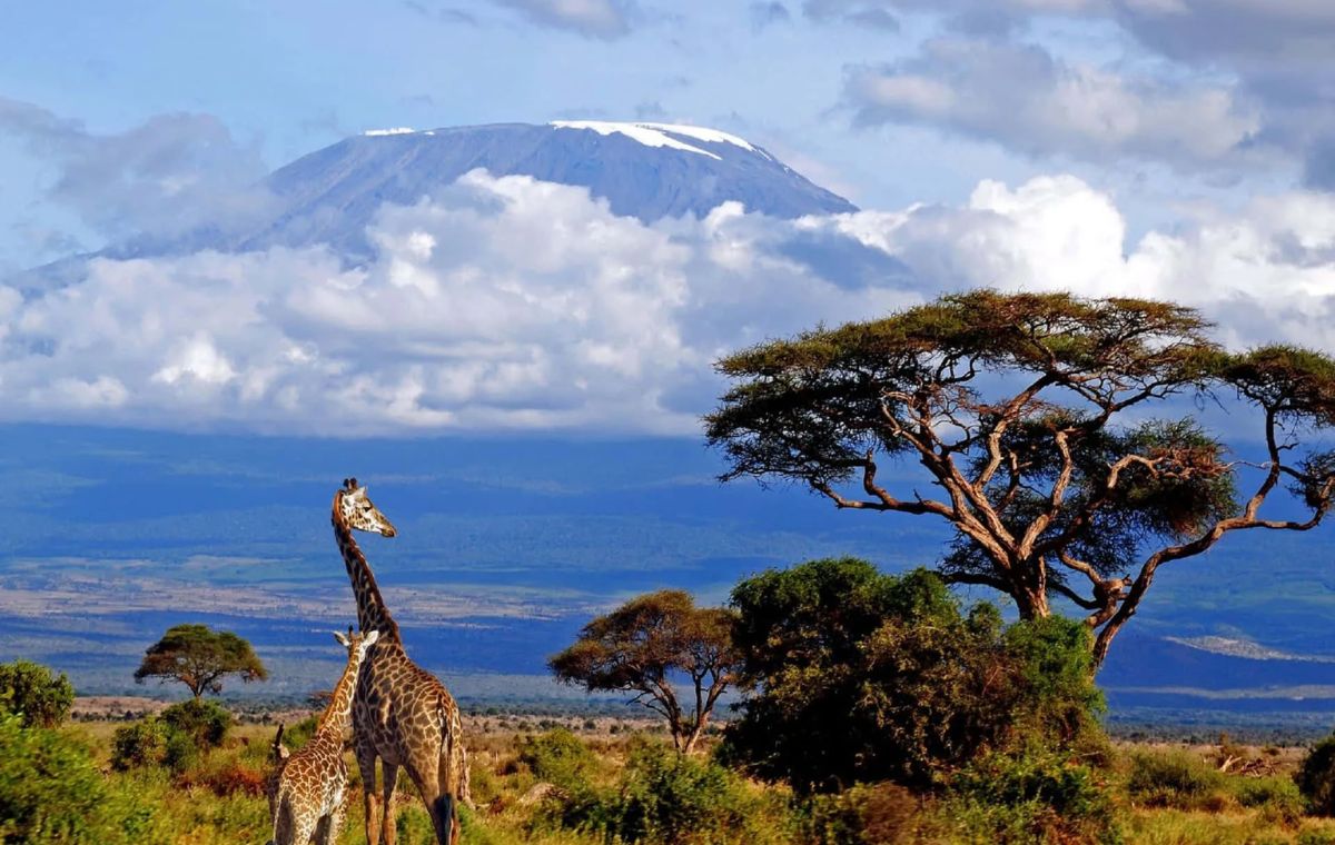 Tanzania Safari Tours and Trips