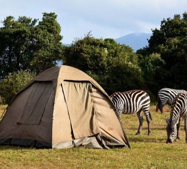 mikumi camping safari