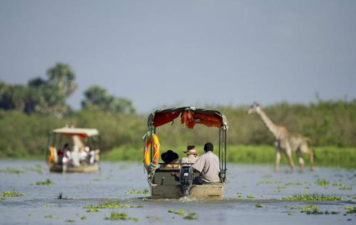Safari vehicle on a bush track used for a Nyerere National Park walking and game drive safari