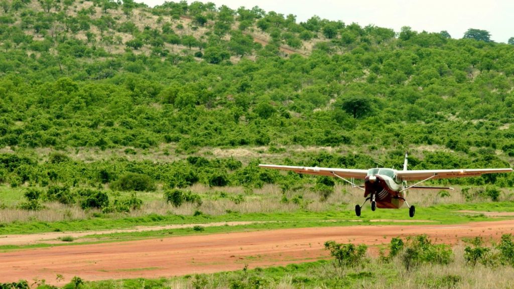 3-Day Ruaha fly-in safari package