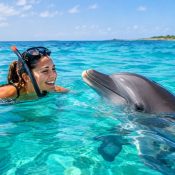 Kizimkazi Dolphin Tour