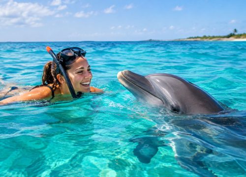 Kizimkazi Dolphin Tour, Zanzibar: Swim With Wild Dolphins in Their Own Ocean