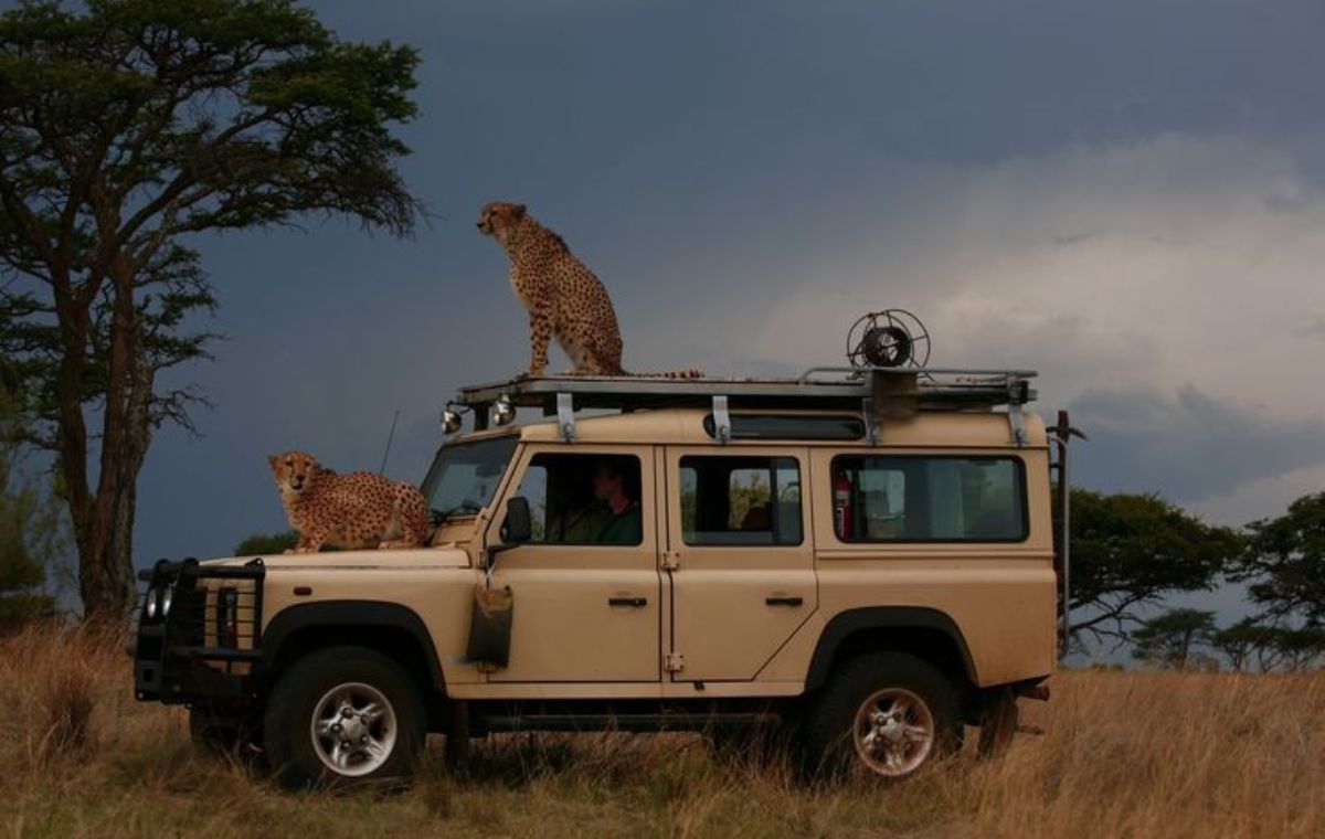 Private 4x4 safari vehicle on a game drive in Saadani National Park