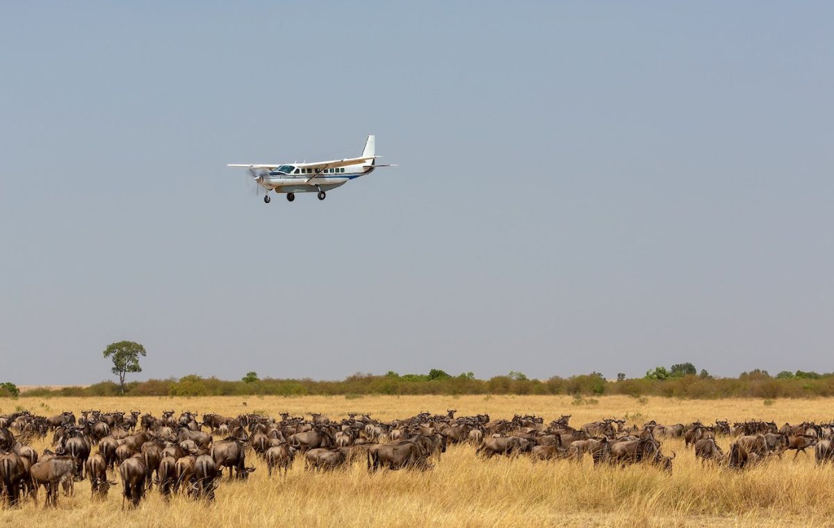 Small charter plane on the airstrip used for fly-in safaris from Zanzibar to Mikumi National Park
